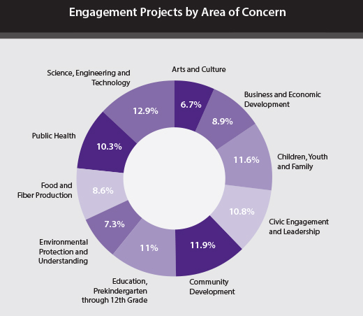 Engagement Projects by Area of Concern