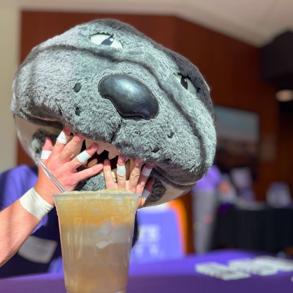 Willie the Wildcat with a rootbeer float