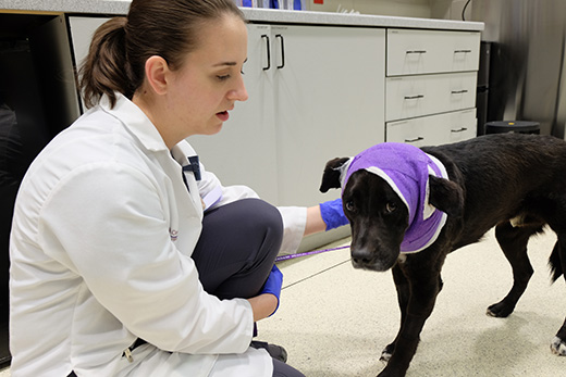 Valerie Head Valerie Head