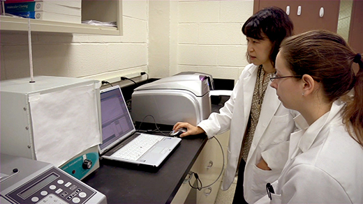 Yunjeong Kim Yunjeong Kim