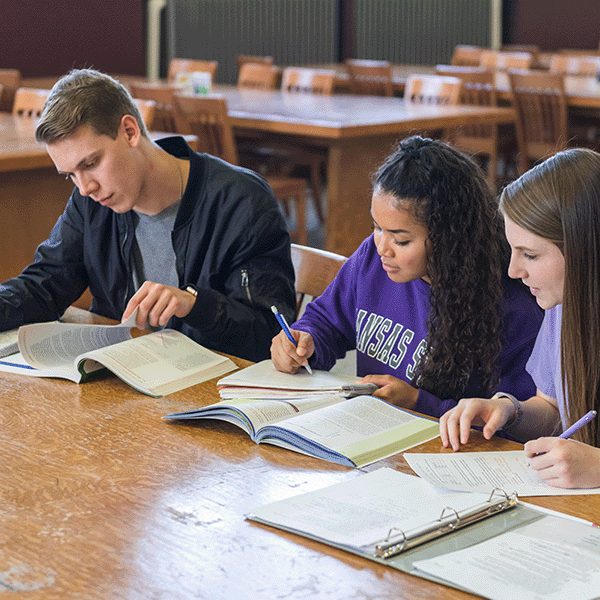 Students workin on work independently in Hale Library