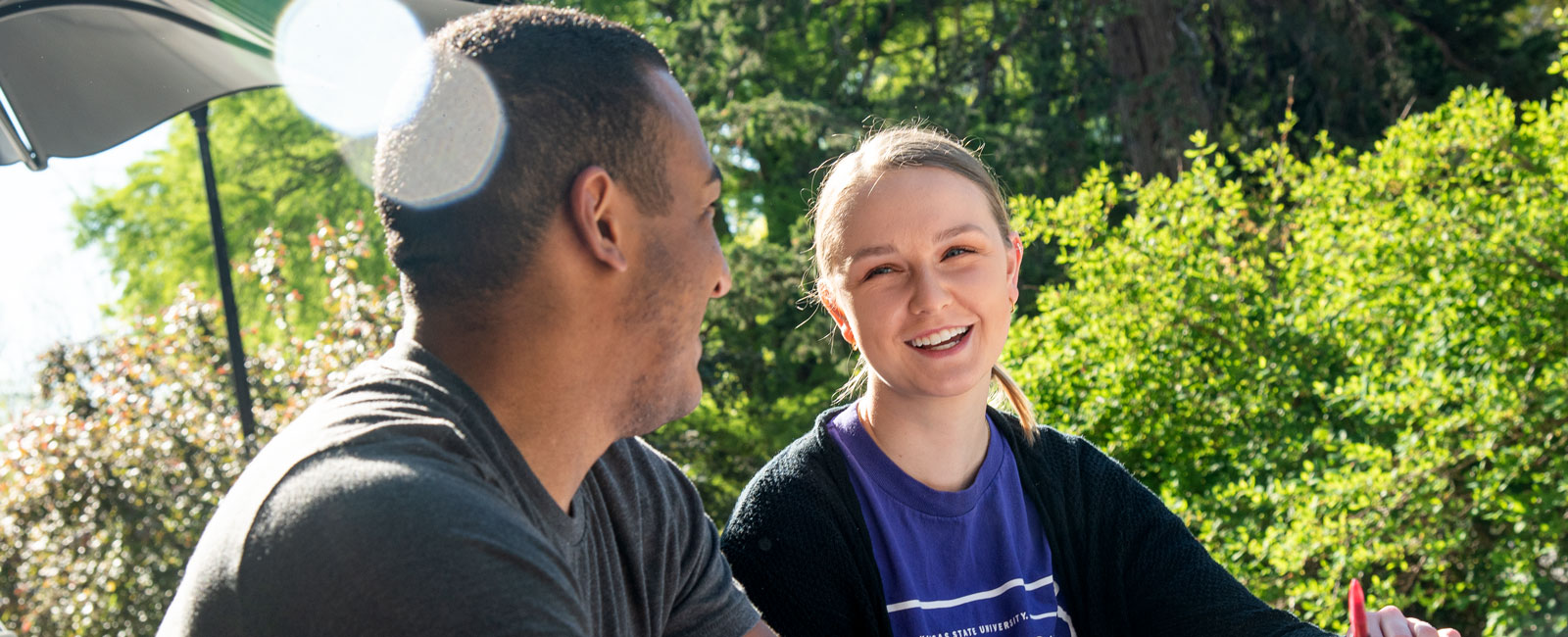 Students studying outside