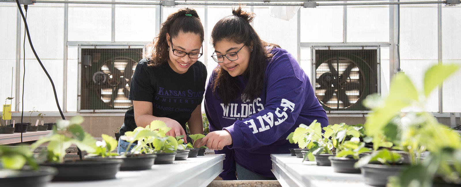 Students working in greenhouse