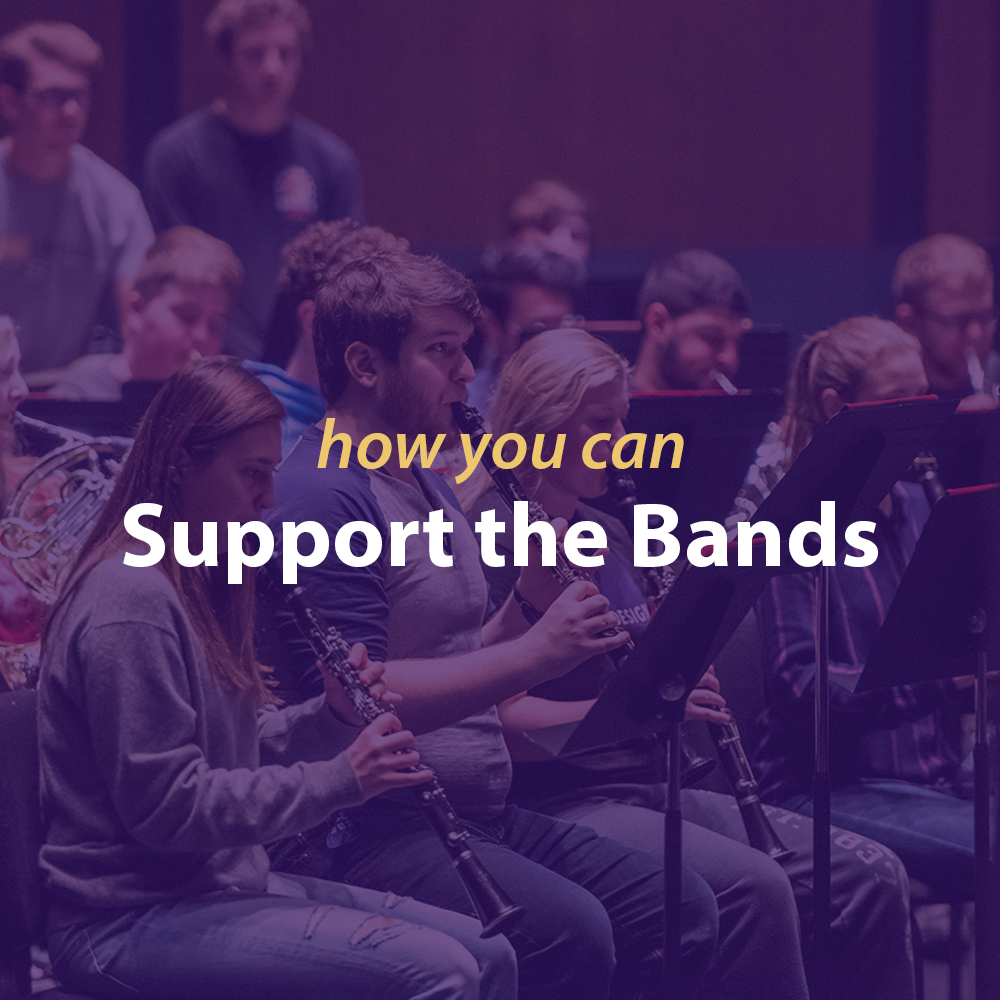 Support the Bands