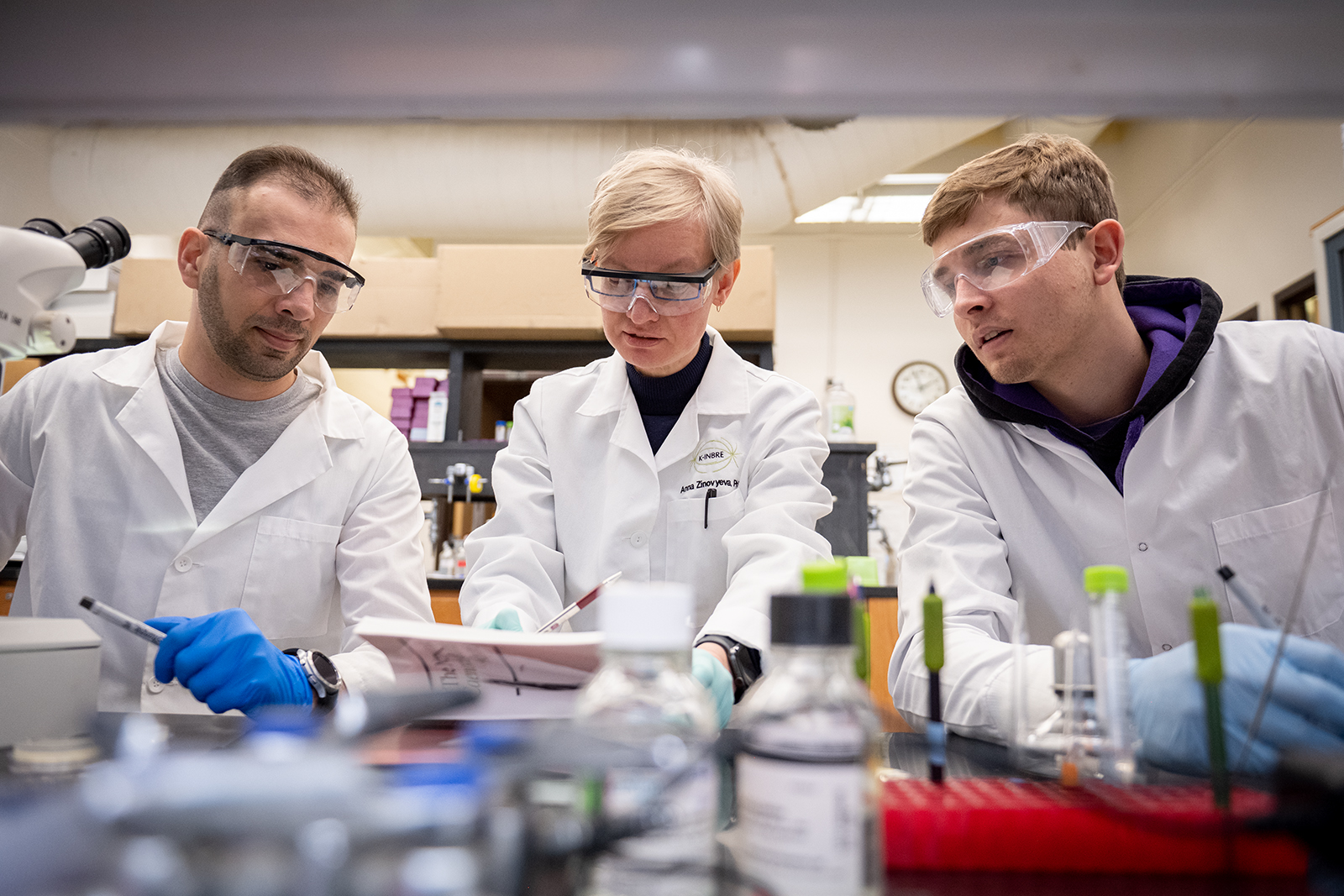 Zinovyeva Lab