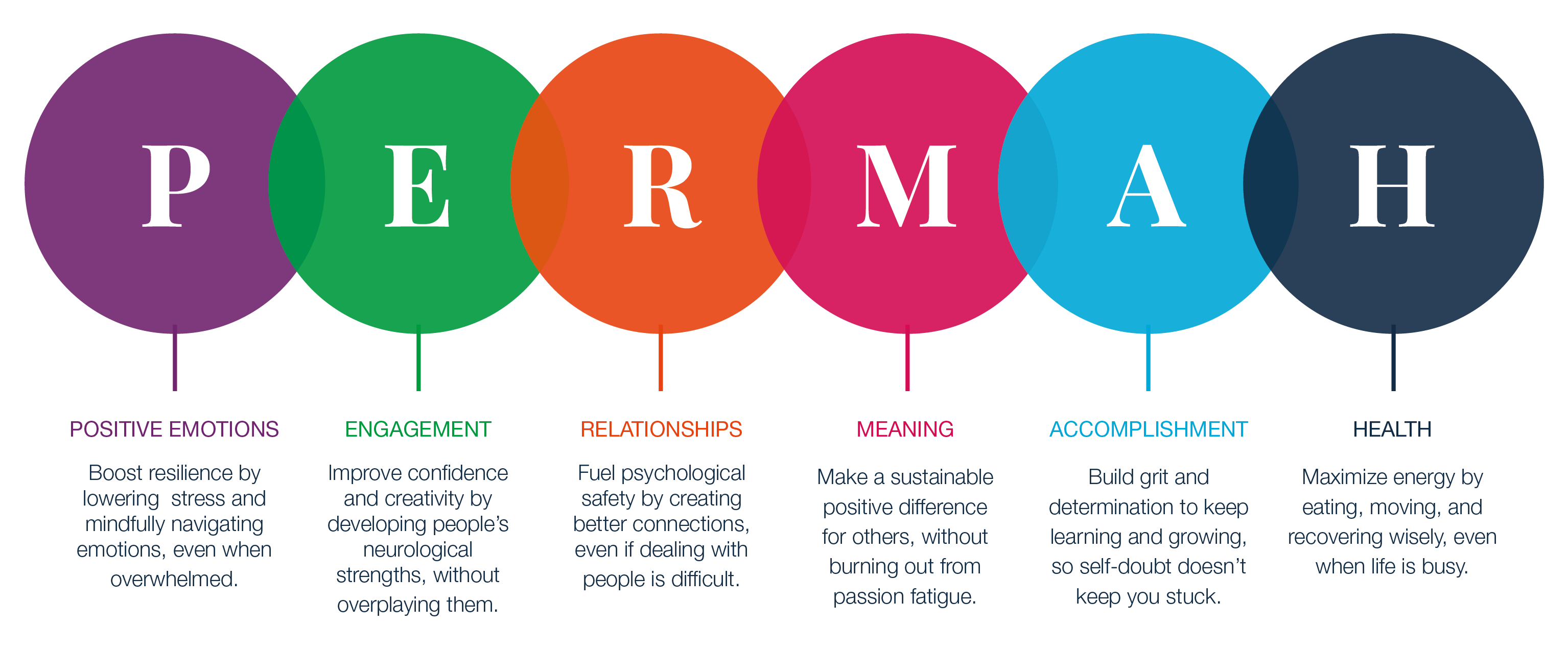 A graphic depicting the six pillars of the PERMAH Wellbeing Survey