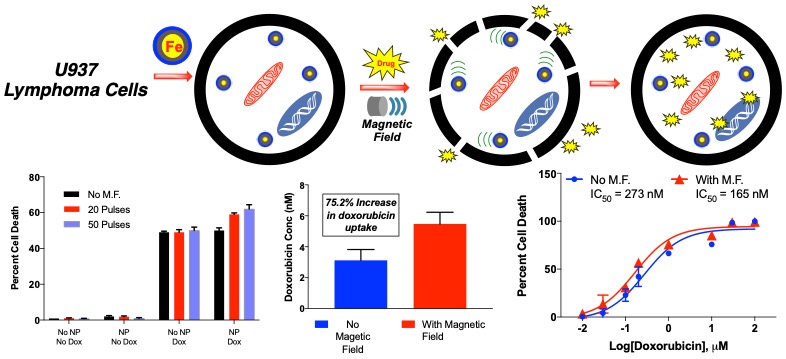 Rafferty Lab ACS Appl. Nano Mater.