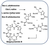 Rafferty Lab Publication