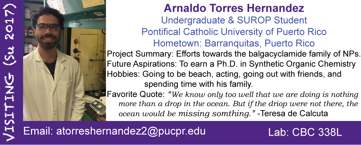 Arnaldo Torres Hernandez