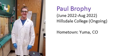 Paul Brophy Profile