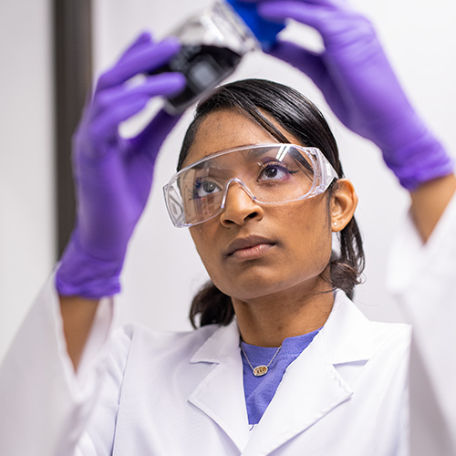 KSU researcher examining a sample