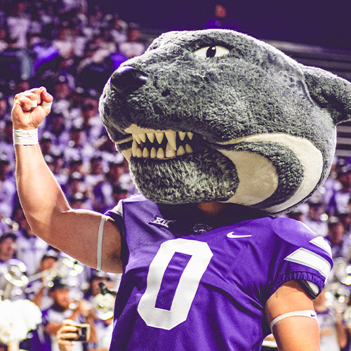 Willie the Wildcat celebrating the K-State Day of Giving