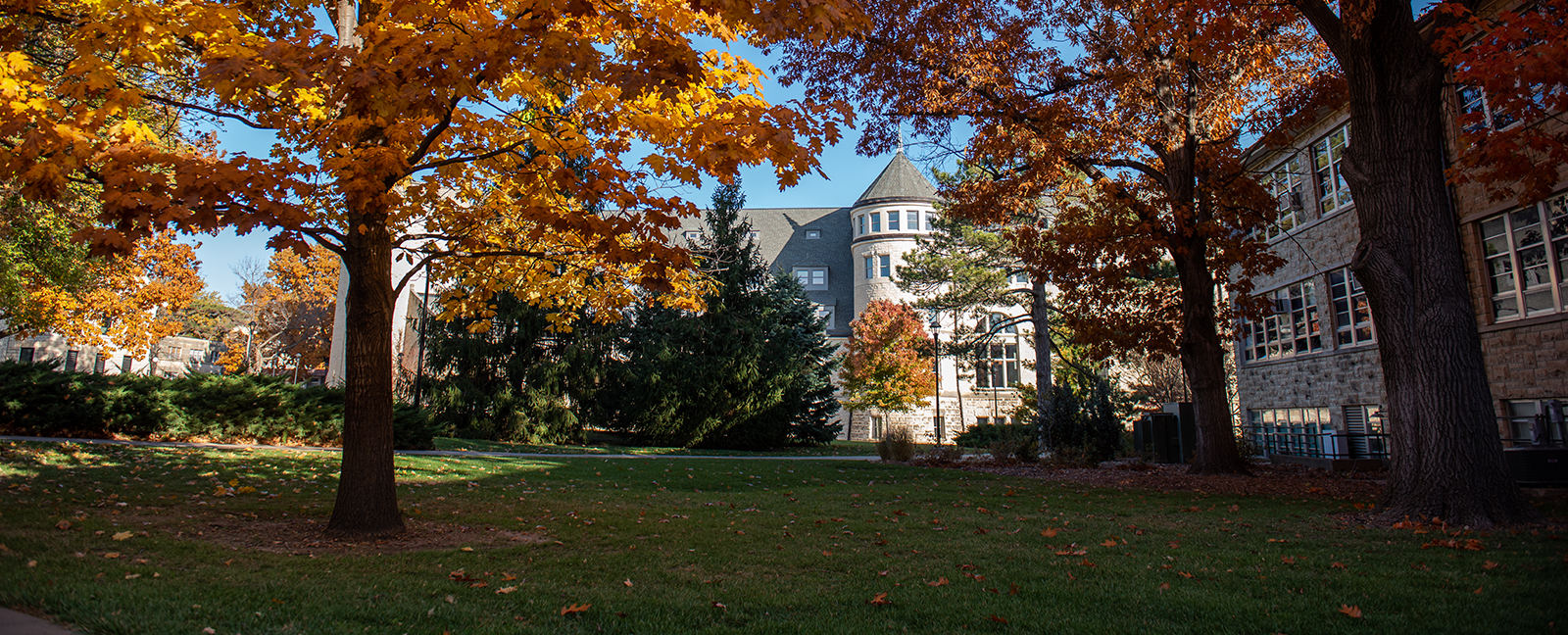 Hale Library in the fall