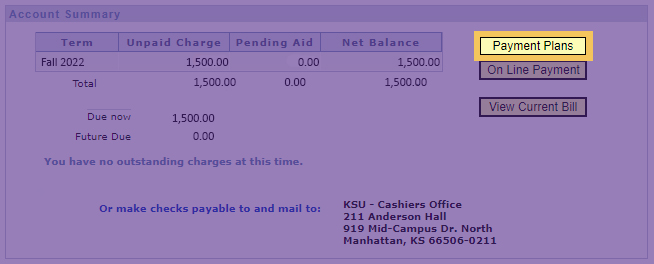 Payment Plan KSIS button