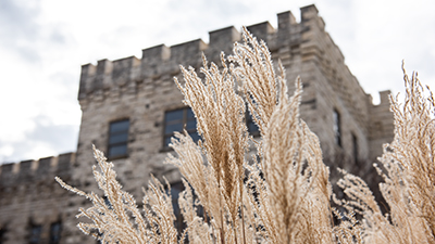 wheat in front of nichols hall