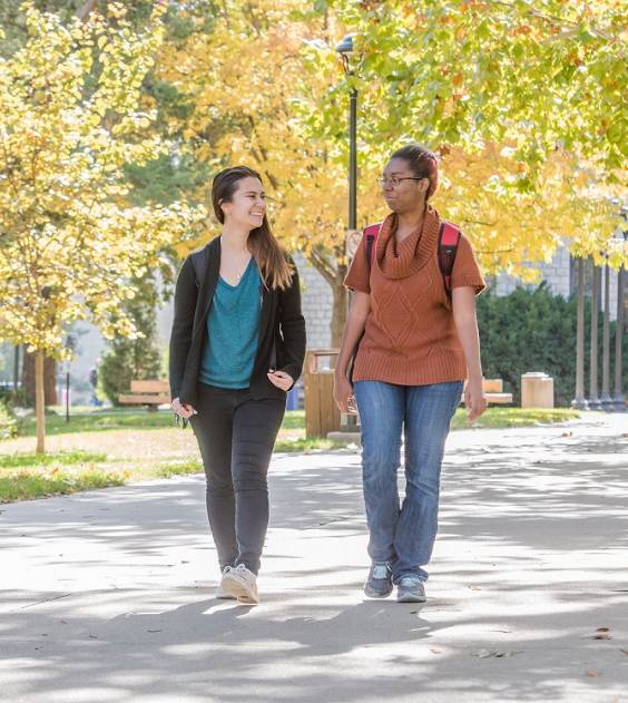 Two students walking on a sidewalk. There is a tree in the background.