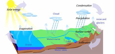 Earth Surface Processes