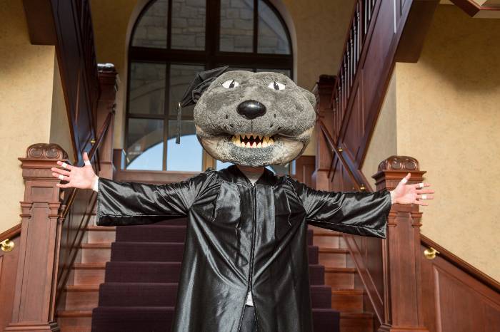 Willie the Wildcat in cap and gown