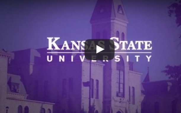 Jobs | Human Capital Services | Kansas State University