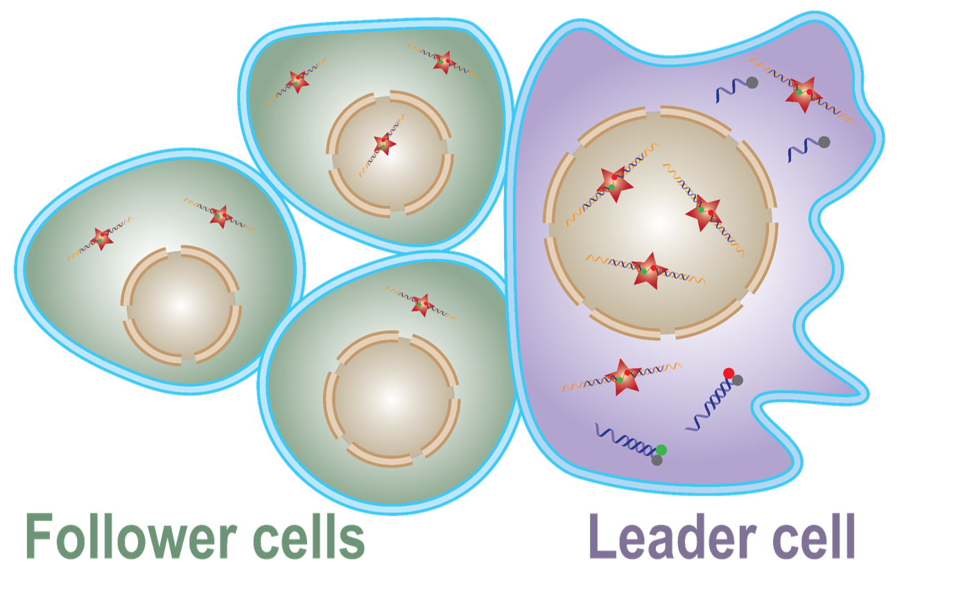 biosensor