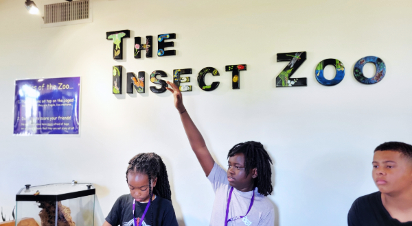 Kids sitting on a bench. Kid in the middle raises his hand with "The Insect Zoo" sign behind him. 