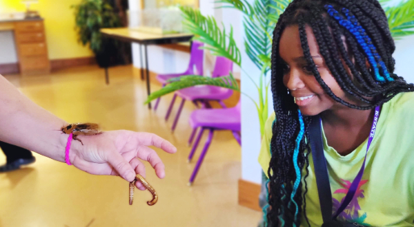 girl with black braids with blue highlights getting shows a millepede and a roach