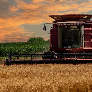 Wheat harvest at sunset in western Kansas