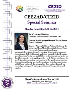 CEEZAD/CEZID Special Seminar