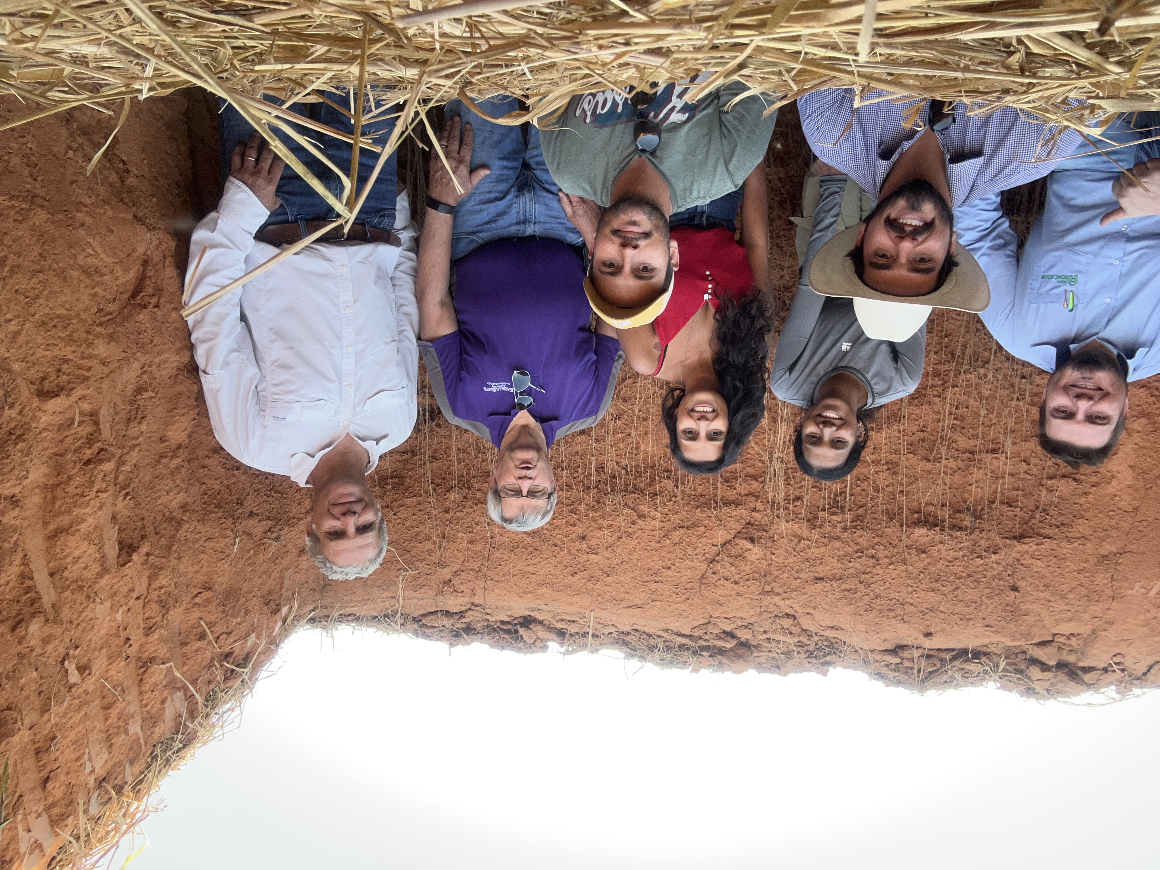 The team in a soil pit looking at root growth and soil carbon