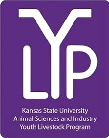 small purple YLP logo