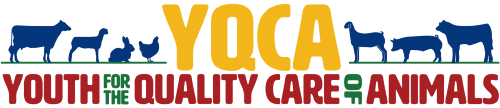 YQCA program logo