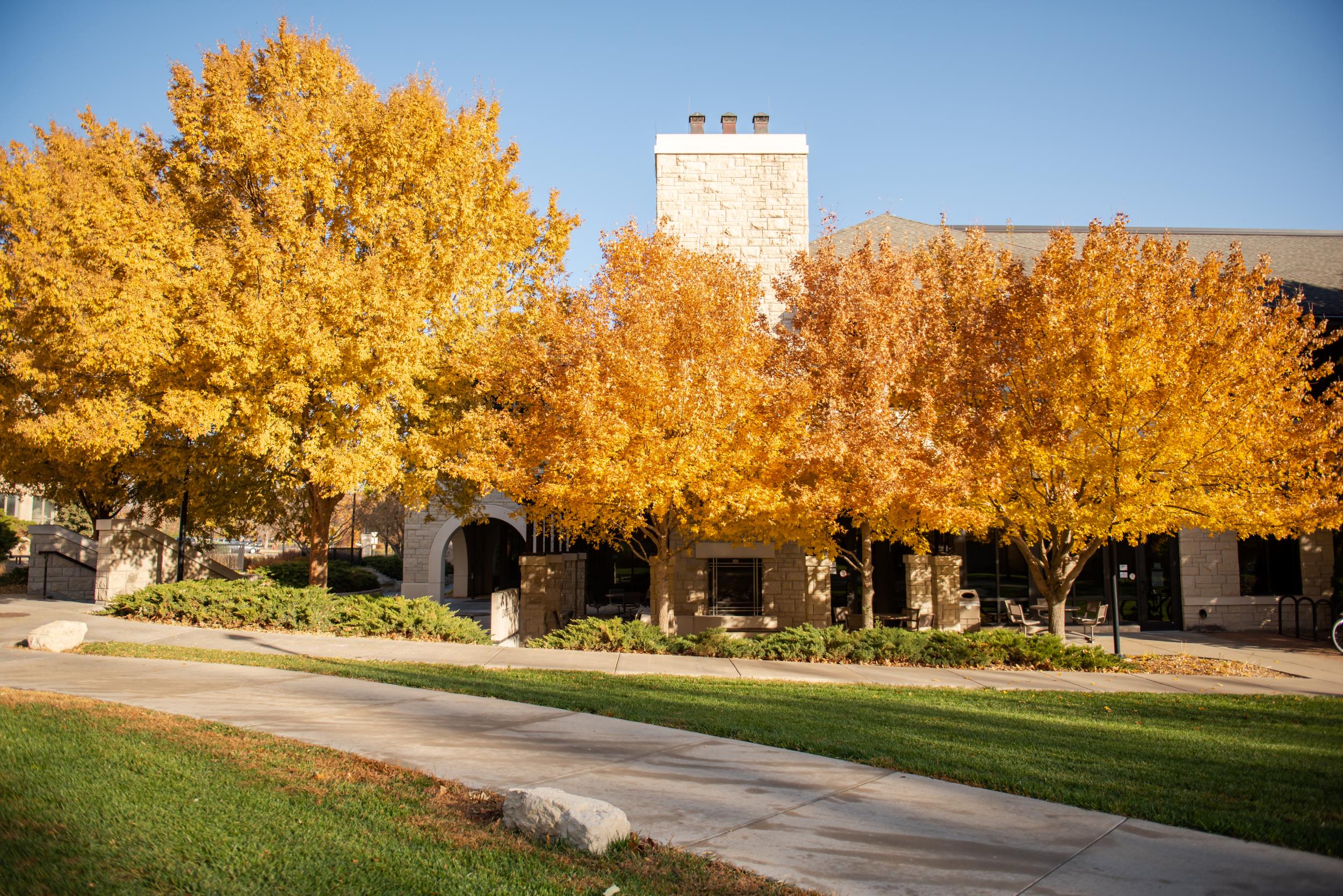 An outdoor photo of the leadership studies building in fall leaves