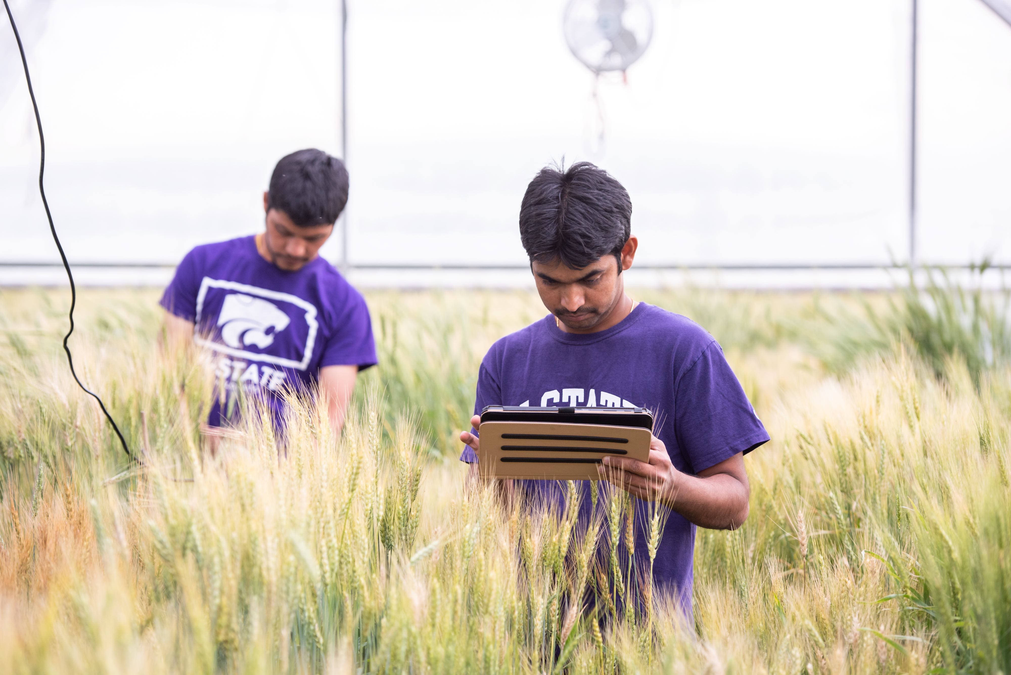 Two students in a greenhouse collect data and enter it on a tablet.