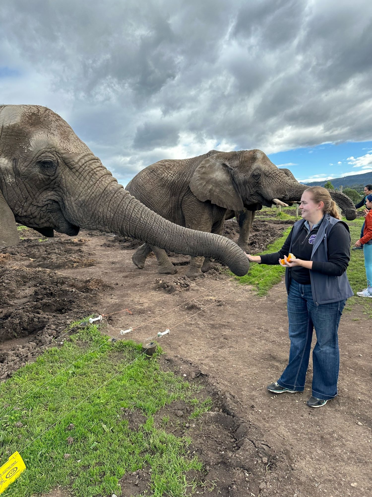 Rachel Sebesta with an elephant in South Africa