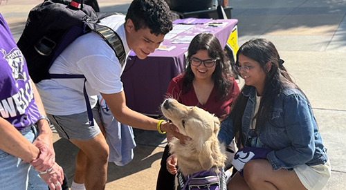 A group of students pet Oakley, K-State's therapy dog.
