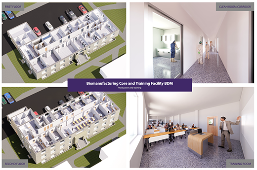 A rendering of the new Biomanufacturing Core and Training Facility