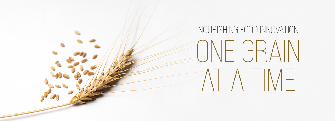 Over a white background, a close up shows the head of wheat and its kernels. On the right, overlaid text reads "Nourishing food innovation: One grain at a time."