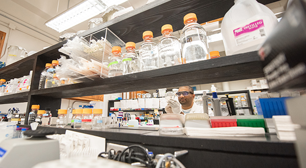 A researcher works behind shelves of glass beakers.