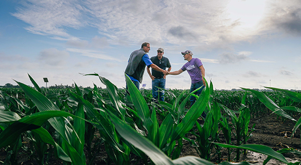 A researcher meets farmers in a crop field with an overcast sky above.