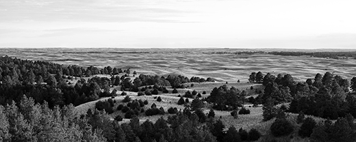 A black and white photo of a lanscape with forest and hills.