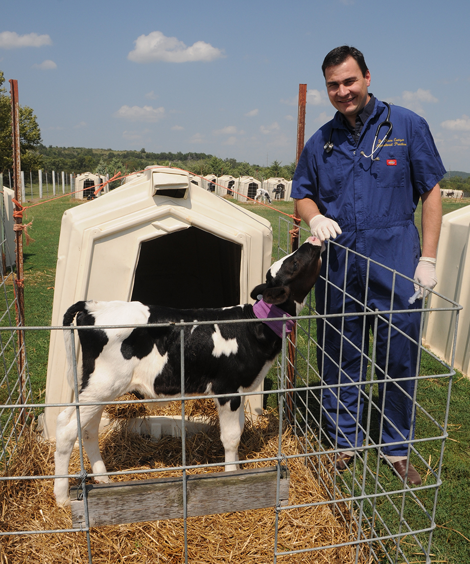 A man in a blue frock and pants poses for a portrait while crouched in front of a cattle pen, with white-and-black spotted cows behind him.