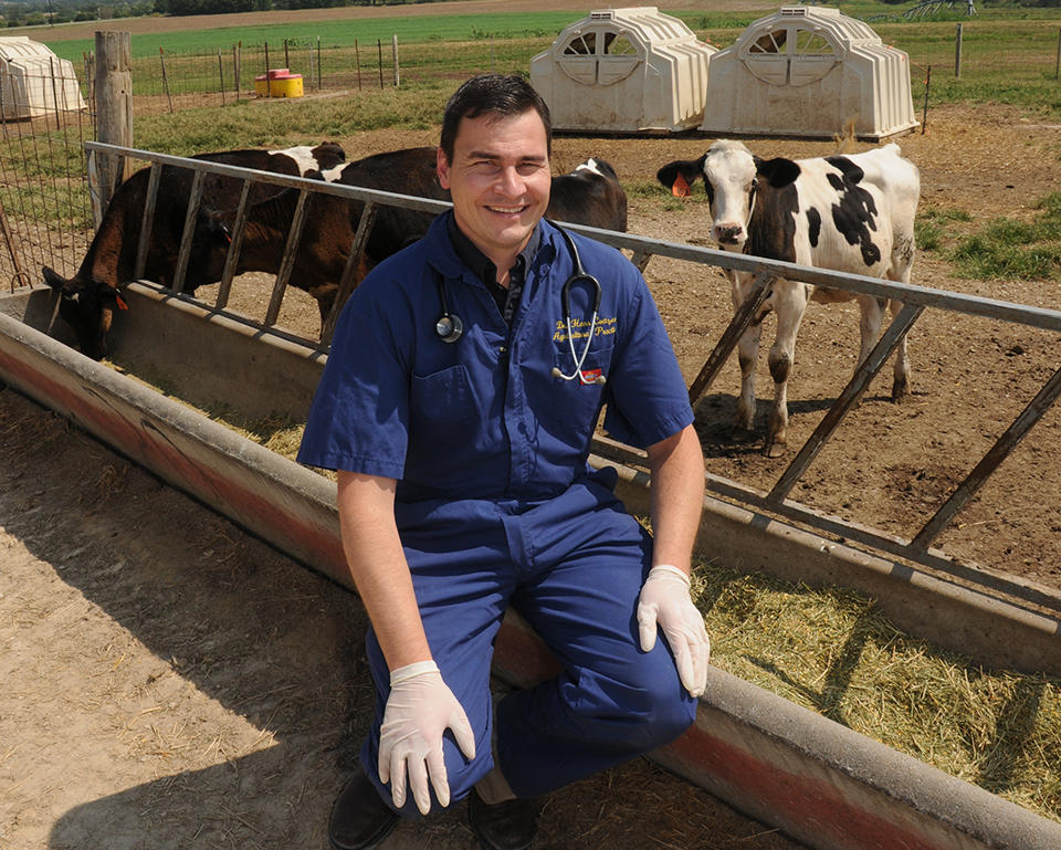 A man in a blue frock and pants poses for a portrait while crouched in front of a cattle pen, with white-and-black spotted cows behind him.