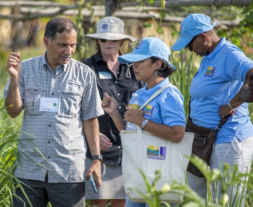 Researchers in a field