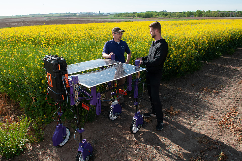 A professor and a student stand in a wheat field beside a cart-like robot with a black, reflective solar panel on its roof.