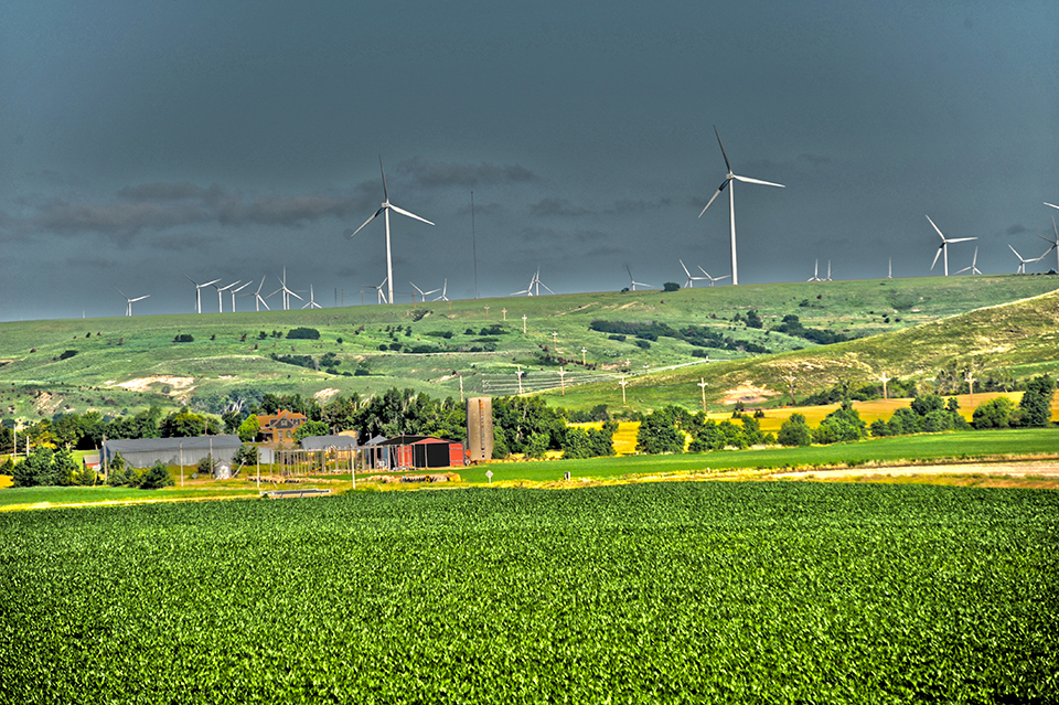 Energy windmills in a field