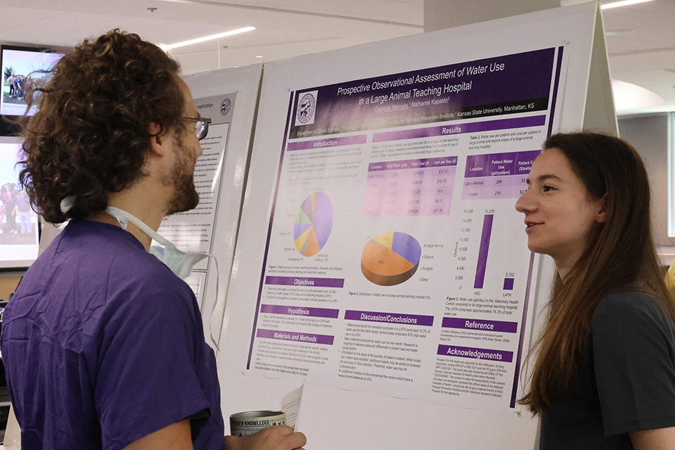 Gabrielle Maroulis stands in front of and presents her research poster to a professor.