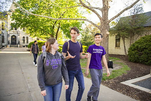 A group of three students, wearing purple, walk and talk down a long, tree-shaded walkway as limestone buildings surround them.