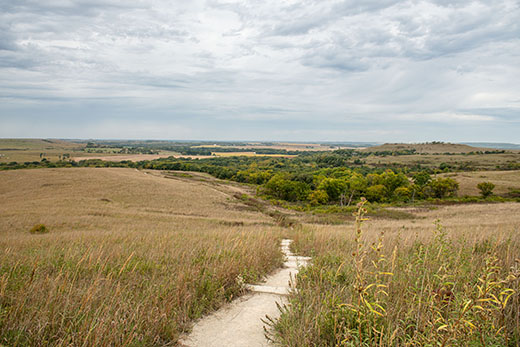 A prairie view