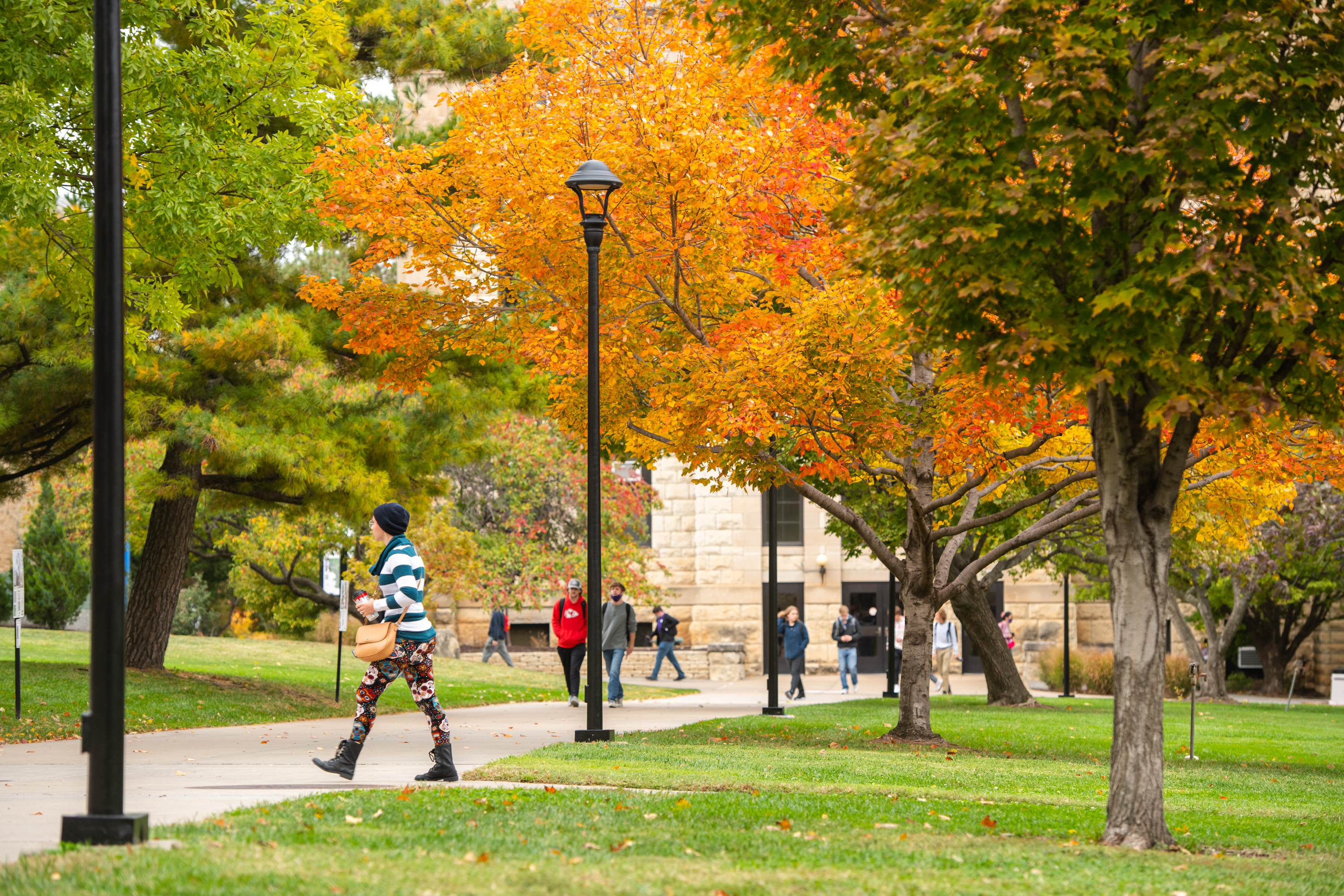 a group of students crossing campus in fall