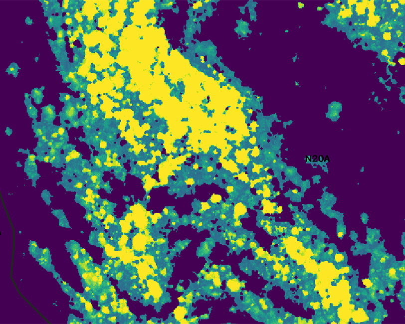 A machine-learning produced aerial of a prairie shows the canopy height of plants, blue representing low canopy, green showing taller plants and yellow showing the tallest.